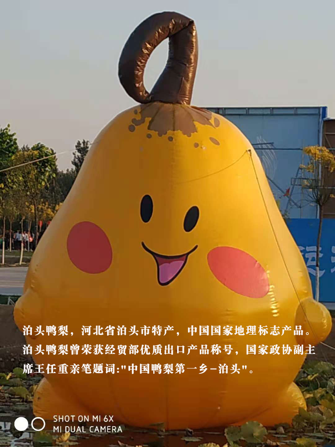 240859093202144234.jpg